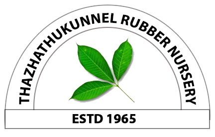 Thazhathukunnel Rubber Nursery